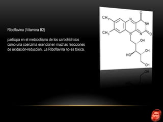 Riboflavina (Vitamina B2) 
participa en el metabolismo de los carbohidratos 
como una coenzima esencial en muchas reacciones 
de oxidación-reducción. La Riboflavina no es tóxica. 
 