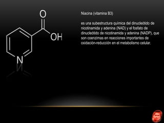 Niacina (vitamina B3) 
es una subestructura química del dinucleótido de 
nicotinamida y adenina (NAD) y el fosfato de 
dinucleótido de nicotinamida y adenina (NADP), que 
son coenzimas en reacciones importantes de 
oxidación-reducción en el metabolismo celular. 
 