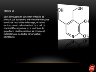 Vitamina B6 
Estos compuestos se convierten en fosfato de 
piridoxal, que actúa como una coenzima en muchas 
reacciones importantes en la sangre, el sistema 
nervioso central, y el metabolismo de la piel. La 
vitamina B6 es importante en la biosíntesis del 
grupo hemo y ácidos nucleicos, así como en el 
metabolismo de los lípidos, carbohidratos y 
aminoácidos. 
 