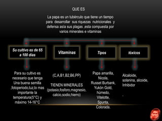 Tipos 
Su cultivo es de 65 
a 100 días 
QUE ES 
Vitaminas 
(C,A,B1,B2,B6,PP) 
TIENEN MINERALES 
(potasio,fosforo,magnesio, 
calcio,sodio,hierro) 
Para su cultivo es 
necesario que tenga 
Una buena semilla 
,fotoperiodo,luz,lo mas 
importante la 
temperatura(5°C) y 
máximo 14-16°C 
Papa amarilla, 
Nicola, 
Russet Burbank, 
Yukón Gold, 
húmedo, 
Vitelotte, 
Spunta, 
Colorada. 
tóxicos 
Alcaloide, 
solanina, alcoide, 
Inhibidor 
. 
La papa es un tubérculo que tiene un tiempo 
para desarrollar sus riquezas nutricionales y 
defensa asía sus plagas ,esta compuesta por 
varios minerales e vitaminas 
 