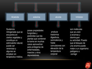 Alcaloide solanina alcoide Inhibidor 
Sustancia 
nitrogenada que se 
encuentra en 
ciertos vegetales y 
constituye un 
estimulante natural; 
puede ser 
venenosa y 
algunas se 
emplean en 
terapéutica médica. 
posee propiedades 
fungicidas y 
pesticidas que las 
plantas que contienen 
la toxina en muchos 
casos aprovechan 
para protegerse de 
enfermedades, 
insectos y otros 
depredadores. 
son moléculas 
que se unen 
a enzimas y 
disminuyen 
su actividad. Puesto 
que el bloqueo de 
una enzima puede 
matar a un organismo 
patógeno o 
corregir 
produce 
trastornos 
digestivos, 
somnolencia y 
hasta 
convulsiones con 
elevación de la 
temperatura 
corporal 
 