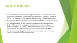 Las sales minerales
 En los organismos vivos se encuentra gran cantidad de sales minerales. Las
mismas que pueden ser insolubles en agua (carbonato, fluoruro y fosfato de
calcio) y se depositan en los órganos esqueléticos para darles consistencia.
 Pueden estar disueltas en agua y se encuentran en forma de iones y cationes.
 Los iones salinos son los que mantienen un grado de salinidad constante
dentro del organismo, lo que puede producir fenómenos osmóticos
desfavorables para las células . Ayudan a mantener constante el pH del
medio interno, actuando como disoluciones tampón o amortiguadoras.
 Los iones salinos participan en acciones importantes del cuerpo humano,
como la transmisión de impulsos nerviosos.
 