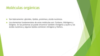 Moléculas orgánicas
 Son básicamente: glúcidos, lípidos, proteínas y ácido nucleicos.
 Los elementos fundamentales de estas moléculas son: Carbono, Hidrógeno y
Oxígeno. En las proteínas se puede encontrar también nitrógeno y azufre y los
ácidos nucleicos y algunos lípidos contienen nitrógeno y fósforo.
 