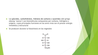  Los glúcidos, carbohidratos, hidratos de carbono o sacáridos (del griego
σάκχαρ "azúcar") son biomoléculas compuestas por carbono, hidrógeno y
oxígeno, cuyas principales funciones en los seres vivos son el prestar energía
inmediata y estructural
 Se producen durante la fotosíntesis en los vegetales
 