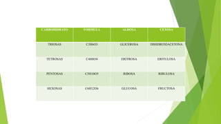 CARBOHIDRATO FORMULA ALDOSA CETOSA
TRIOSAS C3H6O3 GLICEROSA DIHIDROXIACETONA
TETROSAS C4H8O4 ERITROSA ERITULOSA
PENTOSAS C5H10O5 RIBOSA RIBULOSA
HEXOSAS C6H12O6 GLUCOSA FRUCTOSA
 