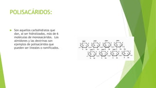 POLISACÁRIDOS:
 Son aquellos carbohidratos que
dan, al ser hidrolizados, más de 6
moléculas de monosacáridos. Los
almidones y las dextrinas son
ejemplos de polisacáridos que
pueden ser lineales o ramificados.
 