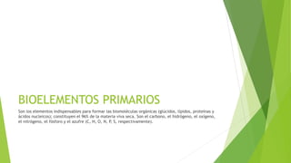 BIOELEMENTOS PRIMARIOS
Son los elementos indispensables para formar las biomoléculas orgánicas (glúcidos, lípidos, proteínas y
ácidos nucleicos); constituyen el 96% de la materia viva seca. Son el carbono, el hidrógeno, el oxígeno,
el nitrógeno, el fósforo y el azufre (C, H, O, N, P, S, respectivamente).
 