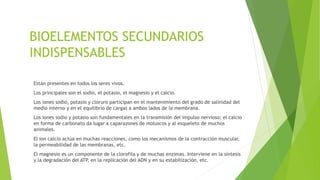 BIOELEMENTOS SECUNDARIOS
INDISPENSABLES
Están presentes en todos los seres vivos.
Los principales son el sodio, el potasio, el magnesio y el calcio.
Los iones sodio, potasio y cloruro participan en el mantenimiento del grado de salinidad del
medio interno y en el equilibrio de cargas a ambos lados de la membrana.
Los iones sodio y potasio son fundamentales en la transmisión del impulso nervioso; el calcio
en forma de carbonato da lugar a caparazones de moluscos y al esqueleto de muchos
animales.
El ion calcio actúa en muchas reacciones, como los mecanismos de la contracción muscular,
la permeabilidad de las membranas, etc.
El magnesio es un componente de la clorofila y de muchas enzimas. Interviene en la síntesis
y la degradación del ATP, en la replicación del ADN y en su estabilización, etc.
 