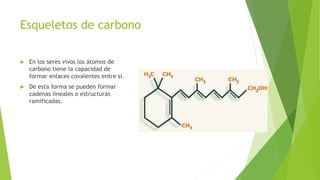 Esqueletos de carbono
 En los seres vivos los átomos de
carbono tiene la capacidad de
formar enlaces covalentes entre sí.
 De esta forma se pueden formar
cadenas lineales o estructuras
ramificadas.
 