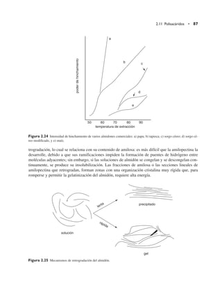 trogradación, lo cual se relaciona con su contenido de amilosa: es más difícil que la amilopectina la
desarrolle, debido a que sus ramificaciones impiden la formación de puentes de hidrógeno entre
moléculas adyacentes; sin embargo, si las soluciones de almidón se congelan y se descongelan con-
tinuamente, se produce su insolubilización. Las fracciones de amilosa o las secciones lineales de
amilopectina que retrogradan, forman zonas con una organización cristalina muy rígida que, para
romperse y permitir la gelatinización del almidón, requiere alta energía.
2.11 Polisacáridos • 87
poder
de
hinchamiento
50 60 70 80 90
temperatura de extracción
a
b c
d
e
Figura 2.24 Intensidad de hinchamiento de varios almidones comerciales: a) papa; b) tapioca; c) sorgo céreo; d) sorgo cé-
reo modificado, y e) maíz.
solución
rápida
lenta precipitado
gel
Figura 2.25 Mecanismos de retrogradación del almidón.
 
