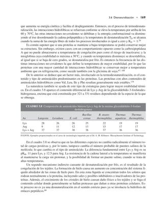 que aumenta su energía cinética y facilita el desplegamiento. Entonces, en el proceso de termodesnatu-
ralización, las interacciones hidrofóbicas se refuerzan conforme se eleva la temperatura por arriba de los
60 y 70°C, las otras interacciones no-covalentes se debilitan y la entropía conformacional va disminu-
yendo al irse desordenando la cadena polipeptídica y la temperatura de desnaturalización TD se alcanza
cuando la suma de las energía libres de todos los procesos involucrados es igual a cero y KD 5 1.29
Es común suponer que si una proteína se mantiene a bajas temperaturas se podrá conservar mejor
su estructura. Sin embargo, existen casos con un comportamiento opuesto como la carboxipeptidasa
A que no puede almacenarse a temperaturas de congelación pues corre el riesgo de inactivarse; y la
mioglobina cuya estabilidad es máxima a 30°C, y cuando su temperatura disminuye se desestabiliza,
al igual que si se baja de cero grados, se desnaturaliza por frío. Es entonces la frecuencia de las dis-
tintas interacciones no-covalentes la que define la temperatura de mayor estabilidad, por lo que las
proteínas con una mayor cantidad de interacciones hidrofóbicas se conservan mejor a temperatura
ambiente que en refrigeración, como sucede también con la glicinina de soya.67, 108
De lo anterior se deduce que un factor más, involucrado en la termodesnaturalización, es el con-
tenido y tipo de aminoácidos predominantes en las proteínas. Las proteínas con altos contenidos de
aminoácidos hidrofóbicos como Val, Leu, Ile y Phe resultan generalmente más estables.179
La naturaleza también se ayuda de este tipo de estrategias para lograr mayor estabilidad térmi-
ca. En el cuadro 3.8 aparece el contenido diferencial de Lys y Arg de la gliceraldehído-3-fosfatodes-
hidrogenasa, enzima que está constituida por 321 a 331 residuos dependiendo de la especie de la que
se obtenga.
CUADRO 3.8 Composición de aminoácidos básicos Lys y Arg de la enzima gliceraldehído-3-fosfato
deshidrogenasa
Bacillus B. stearo- Thermus Thermus
Aa Langosta Levadura E. coli cereus thermophilus aquaticus thermophilus
Lys 28 26 26 25 22 19 19
Arg 9 11 12 13 15 17 17
Lys + Arg 37 37 38 38 37 36 36
FUENTE: Ejemplos proporcionados en el curso de enzimología impartido por el Dr. A. M. Klibanov. Massachusetts Institute of Technology.
En el cuadro 3.8 se observa que en las diferentes especies no cambia radicalmente el número to-
tal de cargas positivas y, por lo tanto, tampoco cambia el número probable de puentes salinos de la
molécula; lo que cambia es el tipo de aminoácido. La diferencia fundamental entre Lys y Arg es su
pKR, 11 para Lys, y 12.5 para Arg. La resistencia de la cadena lateral a la temperatura se manifiesta
al mantenerse la carga sin protonar, y la posibilidad de formar un puente salino, cuando se trata de
altas temperaturas.
Un segundo mecanismo indirecto causante de desnaturalización por frío, es el resultado de la
congelación de los tejidos. La formación de hielo causa un aumento en concentración del sistema lí-
quido alrededor de las zonas de hielo puro. En esta zona líquida se concentran todos los solutos que
rodean normalmente a la proteína, incluyendo sales y posibles inhibidores o inactivadores de las pro-
teínas. Además, el crecimiento de los cristales de hielo causan daño físico a los tejidos y se fuga el
contenido celular donde generalmente se hallan proteasas que dañan a otras proteínas celulares. Es-
te proceso no es ya una desnaturalización en el sentido estricto pues ya se involucra la hidrólisis de
enlaces peptídicos.68
3.6 Desnaturalización • 169
 