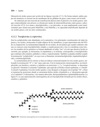 liberación de ácidos grasos por acción de las lipasas (sección 4.7.1). En forma natural, ambos gru-
pos de sustancias se asocian con las membranas de los glóbulos de grasa, como ocurre con la leche.
Se sintetizan por una reacción de esterificación directa entre el glicerol y los ácidos grasos, aun-
que comercialmente este proceso se efectúa por medio de interesterificaciones entre grasas y glice-
rol (sección 4.5.2). Los mono y diacilglicéridos, y sus derivados, se usan ampliamente como emul-
sionantes pues tienen una parte hidrófoba y otra hidrófila y su capacidad emulsificante depende de
sus ácidos grasos y de sus otros sustituyentes.
4.2.2.2 Triacilglicéridos (o triglicéridos)
Son los acilglicéridos más abundantes en la naturaleza y los principales constituyentes de todas las
grasas y los aceites, incluyendo el tejido adiposo de los mamíferos, ya que representan más del 95%
de su composición. La nomenclatura depende de sus ácidos, de tal manera que cuando contienen sólo
uno se conocen como triacilglicéridos simples y cuando poseen dos o tres se consideran como mix-
tos; los nombres de los primeros se forman añadiendo el sufijo “ina” a la raíz que denota el ácido en
cuestión, por ejemplo, la triestearina, la tripalmitina y la trioleína, corresponden a triacilglicéridos
que contienen sólo esteárico, palmítico y oleico, respectivamente. También se pueden nombrar usando
la terminación “acilglicérido”, en cuyo caso se llamarían: triestearilacilglicérido, tripalmitilacilglicé-
rido y trioleilacilglicérido.
La nomenclatura de los mixtos se basa en indicar consecutivamente los tres ácidos grasos, uti-
lizando la terminación “il” o “ato” para cada uno. Con la numeración estereoespecífica, un triacil-
glicérido con linoleico, esteárico y palmítico en posiciones 1, 2 y 3 respectivamente, se denomina
sn-gliceril-1-linoleato-2-estearato-3-palmitato, que equivale al linoleo-estearo-palmitina, o 1-linolil-
2-estearil-3-palmitina. Con dos ácidos iguales y uno desigual se designan con el prefijo “di”, o bien
se numeran las posiciones donde se encuentran dichos ácidos: b-palmitil-a, a’-diestearina equivale
a la 2-palmitil-1,3-diestearina, o de manera abreviada, diestearopalmitina o palmitidildiestearina. La
figura 4.1 es una representación estereoquímica de un triacilglicérido formado por los ácidos oleico,
esteárico y palmítico.
254 • Lípidos
ácido oleico
ácido esteárico
ácido palmítico
cis
carbono
hidrógeno
oxígeno
Figura 4.1 Estructura estereoquímica de un triacilglicérido con los ácidos oleico, esteárico y palmítico.
 