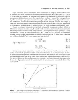 Según lo indica el sentido de las flechas, tanto la formación del complejo enzima-sustrato como
su consumo para liberar al producto, pueden ser procesos reversibles. Los coeficientes k1, k1, k2 y
k2 representan las constantes de velocidad para cada reacción. La formación del complejo ES es
generalmente rápida, mientras que su descomposición en producto y enzima libre es un paso lento,
(k2  k1), mientras que k2 es generalmente mucho mayor que k2. Sin embargo, bajo ciertas condicio-
nes, una reacción catalizada enzimáticamente puede proceder en cualquier dirección. Por ejemplo, y
como se ha señalado ya, algunas reacciones enzimáticas que proceden en dirección hacia la hidrólisis en
un medio acuoso, pueden proceder en sentido inverso en un medio con baja disponibilidad de agua.
Durante los primeros instantes de la reacción, la velocidad de formación de producto (∆P/∆t) se
define como velocidad inicial, vi, y es, de acuerdo con la ecuación 3, proporcional a la concentración
del complejo ES. La concentración de enzima total (ET), en cualquier momento es igual a [E]  [ES]
(enzima libre  enzima en forma de complejo (Ec. 4)). Cuando [S][E] la enzima está totalmente
saturada, esto es, se encuentra formando el complejo con el sustrato (Ec. 5), por lo que se encuentra
a su máxima velocidad (Vmáx), como se expresa en la ecuación 6.
vi  k2 [ES] (Ec. 3)
[E]T  [E]  [ES] (Ec. 4)
Si [S][E], entonces
[E]T ≈ [ES] (Ec. 5)
vi ≈ k2 [E]T  Vmáx (Ec. 6)
Es importante recordar que existe una relación entre la concentración de los reactivos con la ve-
locidad de reacción, lo que define el orden de una reacción química. Se ha mencionado que en el ca-
so de una reacción enzimática la concentración de sustrato se debe mantener muy alta con relación a
la concentración de enzima, de tal forma que se trate de una reacción de orden cero (figura 5.7).
Así, la velocidad de reacción, a pH y temperatura constantes, será independiente de la concentración
de sustrato y dependerá solamente de la concentración de la enzima, como lo muestra la figura 5.8 y
la ecuación 6.
5.7 Cinética de las reacciones enzimáticas • 317
concentración de enzima
velocidad
Figura 5.8 Velocidad de reacción enzimática con respecto a la concentración de enzima. La línea punteada es la relación
teórica (ecuación 6), y la línea sólida la relación observada.
 