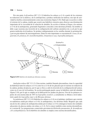 Por otra parte, la b-amilasa (EC 3.2.1.2) hidroliza los enlaces a-(1-4) a partir de los extremos
no reductores de la amilosa y de la amilopectina y produce moléculas de maltosa; este tipo de acti-
vidad la clasifica consecuentemente como una exoenzima (figura 5.10). Dado que su acción es sobre
el extremo de la cadena, tendría que ocurrir una hidrólisis extensiva para observar una disminución
importante de la viscosidad de la solución de almidón. Su acción se detiene al llegar a las uniones
a-(1-6) de la amilopectina, generando fragmentos conocidos como dextrinas b-límite. Su nombre se
debe a que ocasiona una inversión de la configuración del carbono anomérico de a a b, por lo que
genera moléculas de b-maltosa. Se produce endógenamente en las semillas durante la germinación,
y por un gran número de microorganismos. Entre los más importantes se encuentran B. cereus, B. me-
gaterium, B. polymyxa, B. stearothermophilus, Streptomyces sp y Aspergillus fumigatus.
Amiloglucosidasa (EC 3.2.1.3). Esta enzima, también llamada glucoamilasa, tiene la capacidad
de hidrolizar tanto los enlaces a-(1-4) como los a-(1-6) de los glucanos por el extremo no reductor de
la cadena; produce b-glucosa, por lo que se lleva a cabo la inversión de la configuración del azúcar,
como en el caso de la b-amilasa. Su acción prolongada puede causar la hidrólisis total del almidón
(figura 5.10), por lo que se emplea en la fabricación los jarabes de glucosa. Uno de los primeros re-
portes de esta enzima data de 1957 en Aspergillus awamori, y actualmente se obtiene a nivel indus-
trial a partir de Aspergillus niger y de Rhizopus delemar.
La pululanasa (EC 3.2.1.41) hidroliza los enlaces a-(1-6) en el pululano, (polímero que consiste
en maltotriosa unida por enlaces a-(1-6)), la amilopectina y las dextrinas límite. Requiere que cada
una de las dos cadenas de amilopectina unidas por el enlace a-(1-6) contengan al menos dos unidades
adyacentes de glucosa unidas con enlace a-(1-4). Se le conoce también como enzima desramifican-
te o enzima R. Las preparaciones comerciales provienen de Klebsiella pneumoniae, B. deramificans
y B. acidopullulyticus. En la hidrólisis de almidón se emplea como enzima desramificadora.
326 • Enzimas
Amiloglucosidasa
-amilasa
Enzima R o
a-(1,6)-glucosidasa
b-amilasa
Glucosa Maltosa
Figura 5.10 Hidrólisis del almidón por diferentes enzimas.
 
