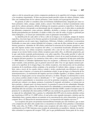 Quimica  de los alimentos.pdf