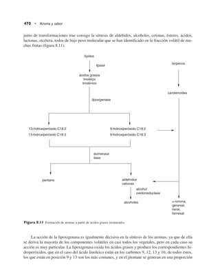 Quimica  de los alimentos.pdf