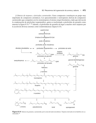 Quimica  de los alimentos.pdf