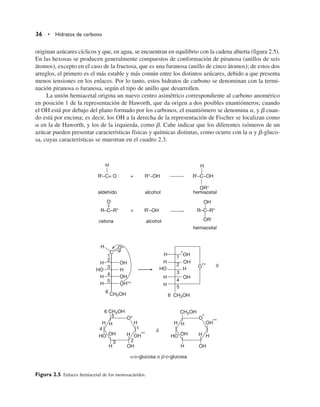 originan azúcares cíclicos y que, en agua, se encuentran en equilibrio con la cadena abierta (figura 2.5).
En las hexosas se producen generalmente compuestos de conformación de piranosa (anillos de seis
átomos), excepto en el caso de la fructosa, que es una furanosa (anillo de cinco átomos); de estos dos
arreglos, el primero es el más estable y más común entre los distintos azúcares, debido a que presenta
menos tensiones en los enlaces. Por lo tanto, estos hidratos de carbono se denominan con la termi-
nación piranosa o furanosa, según el tipo de anillo que desarrollen.
La unión hemiacetal origina un nuevo centro asimétrico correspondiente al carbono anomérico
en posición 1 de la representación de Haworth, que da origen a dos posibles enantiómeros; cuando
el OH está por debajo del plano formado por los carbonos, el enantiómero se denomina a, y b cuan-
do está por encima; es decir, los OH a la derecha de la representación de Fischer se localizan como
a en la de Haworth, y los de la izquierda, como b. Cabe indicar que los diferentes isómeros de un
azúcar pueden presentar características físicas y químicas distintas, como ocurre con la a y b-gluco-
sa, cuyas características se muestran en el cuadro 2.3.
36 • Hidratos de carbono
R'–C= O + R–OH R'–C–OH
R–C–R + R'–OH R–C–R
aldehído alcohol hemiacetal
cetona alcohol
hemiacetal
H H
OR
OR
OH
O
H
C
O*
1
2
3
4
5
H OH
HO H
H OH
H OH**
6
CH2OH
..
..
H 1
2
3
4
5
OH
H OH
HO H
H OH
H
*
O** –
–
–
H H
H
OH**
H
O*
HO OH
OH
H
CH2OH
ó
H H
H
H
H
1
2
3
4
5 O*
HO OH
OH
OH**
6 CH2OH
a-D-glucosa o b-D-glucosa
6 CH2OH
Figura 2.5 Enlaces hemiacetal de los monosacáridos.
 