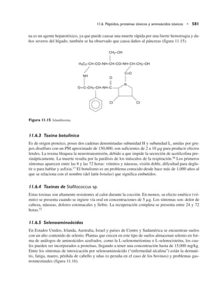 Quimica  de los alimentos.pdf