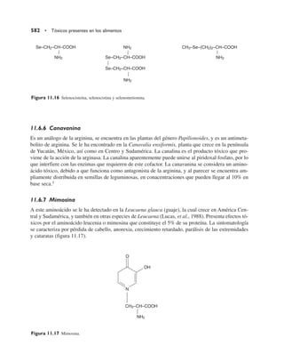 Quimica  de los alimentos.pdf