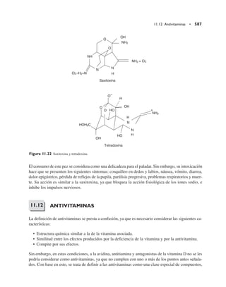 Quimica  de los alimentos.pdf