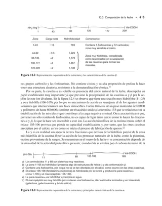 Quimica  de los alimentos.pdf