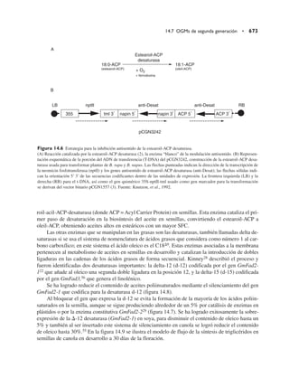 Quimica  de los alimentos.pdf