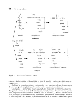 encuentra el gliceraldehído, el piruvaldehído, el acetol, la acetoína y el diacetilo, todos con un olor
característico.
Casi todas las sustancias resultantes son insaturadas y muy reactivas, por lo que siguen, a su vez,
diversas rutas químicas según las condiciones imperantes de acidez, temperatura, etc.
En la figura 2.17 se observan, a manera de ejemplo, dos mecanismos de transformación que pue-
de seguir una cetosamina; mediante deshidrataciones, isomerizaciones y desaminaciones se generan
otros compuestos insaturados también inestables, como las osulonas (3,4-didesoxi-3-enohexosona)
y las desoxiosulosas (3-desoxihexosona); éstos también reaccionan con aminoácidos por medio de
la llamada degradación de Strecker, y producen un aldehído con un átomo de carbono menos que el
66 • Hidratos de carbono
CHO
HCOH
HOCH
HCOH
HCOH
CH2OH
CH3
HOOC—CH—NH—CH
HCOH
HOCH
HCOH
HC
CH2OH
O
O
CH3
HOOC—CH—NH—CH2
HOC
HOCH
HCOH
HCOH
CH2
O
O
glucosa glucosilalanina 1-desoxi-alaninfructosa
de Amadori
CH3—CH—COOH
NH2
alanina
CH2OH
HC=O
HOCH
HCOH
HCOH
CH2OH
CH3
HOOC—CH—NH—C
HOCH
HCOH
HCOH
CH2
CH2OH HCOH CH3
HC—NH—CH—COOH
HOCH
HCOH
HC
CH2OH
fructosa fructosilalanina 2-desoxi-2-alanino-D-glucosa
de Heyns
Figura 2.16 Transposiciones de Amadori y de Heyns.
 