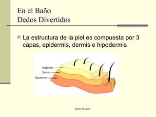 En el Baño Dedos Divertidos La estructura de la piel es compuesta por 3 capas, epidermis, dermis e hipodermis  