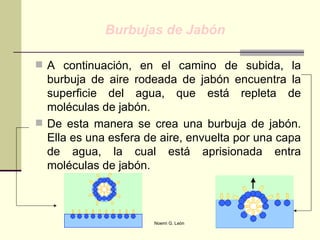 A continuación, en el camino de subida, la burbuja de aire rodeada de jabón encuentra la superficie del agua, que está repleta de moléculas de jabón.  De esta manera se crea una burbuja de jabón. Ella es una esfera de aire, envuelta por una capa de agua, la cual está aprisionada entra moléculas de jabón. Burbujas de Jabón 