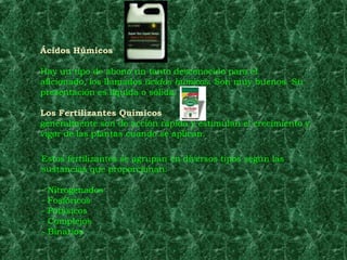 Ácidos Húmicos

Hay un tipo de abono un tanto desconocido para el
aficionado, los llamados ácidos húmicos. Son muy buenos. Su
presentación es líquida o sólida.

Los Fertilizantes Químicos
generalmente son de acción rápida y estimulan el crecimiento y
vigor de las plantas cuando se aplican.

Estos fertilizantes se agrupan en diversos tipos según las
sustancias que proporcionan:

-   Nitrogenados
-   Fosfóricos
-   Potásicos
-   Complejos
-   Binarios
 