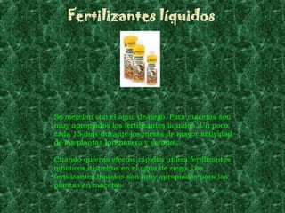 Fertilizantes líquidos




Se mezclan con el agua de riego. Para macetas son
muy apropiados los fertilizantes líquidos. Un poco
cada 15 días durante los meses de mayor actividad
de las plantas (primavera y verano).

Cuando quieras efectos rápidos utiliza fertilizantes
químicos disueltos en el agua de riego. Los
fertilizantes líquidos son muy apropiados para las
plantas en macetas.
 