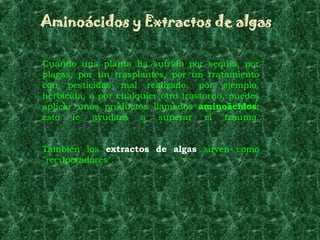 Aminoácidos y Extractos de algas

Cuando una planta ha sufrido por sequía, por
plagas, por un trasplantes, por un tratamiento
con pesticidas mal realizado, por ejemplo,
herbicida, o por cualquier otro trastorno, puedes
aplicar unos productos llamados aminoácidos;
esto le ayudará a superar el trauma.


También los extractos de algas sirven como
"recuperadores".
 