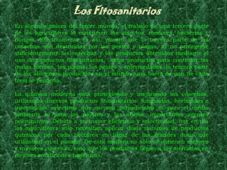 Los Fitosanitarios
En algunos países del tercer mundo, el trabajo de una tercera parte
de los agricultores lo consumen los insectos, roedores, bacterias y
hongos. Efectivamente es así, puesto que la tercera parte de las
cosechas son destruidas por las pestes y plagas, al no protegerse
suficientemente las cosechas y los productos obtenidos mediante el
uso de productos fitosanitarios. estos productos para controlar las
malas hierbas, las plagas, las pestes y enfermedades, la tercera parte
de los alimentos producidos en el mundo (una barra de pan de cada
tres) se perdería.

La química moderna está protegiendo y mejorando las cosechas,
utilizando diversos productos fitosanitarios: fungicidas, herbicidas e
insecticidas selectivos que no son perjudiciales ni para el medio
ambiente ni para los pájaros y las abejas, importantes agentes
polinizantes. Debido a su mayor eficiencia y selectividad, hoy en día
los agricultores sólo necesitan aplicar dosis mínimas de productos
químicos por cada hectárea en lugar de las grandes dosis que
utilizaban en el pasado. De esta manera no sólo se obtienen mejores
y mayores cosechas, sino que los productos llegan a los mercados en
mejores condiciones higiénicas.
 