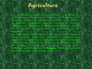 Agricultura
son conocimientos para cultivar la tierra y la parte del
sector primario que se dedica a ello. En ella se engloban los
diferentes trabajos de tratamiento del suelo y los cultivos
de vegetales. Comprende todo un conjunto de acciones
humanas que transforma el medio ambiente natural, con el
fin de hacerlo más apto para el crecimiento de las
siembras.
Las actividades relacionadas son las que integran el llamado
sector agrícola. Todas las actividades económicas que
abarca dicho sector tienen su fundamento en la explotación
de los recursos que la tierra origina, favorecida por la acción
del hombre: alimentos vegetales como cereales, frutas,
hortalizas, pastos cultivados y forrajes; fibras utilizadas por
la industria textil; cultivos energéticos.
 