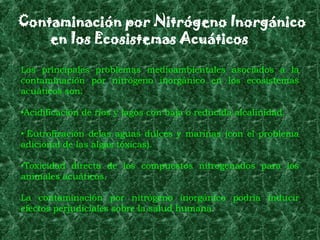Contaminación por Nitrógeno Inorgánico
    en los Ecosistemas Acuáticos

Los principales problemas medioambientales asociados a la
contaminación por nitrógeno inorgánico en los ecosistemas
acuáticos son:

•Acidificación de ríos y lagos con baja o reducida alcalinidad.

• Eutrofización delas aguas dulces y marinas (con el problema
adicional de las algas tóxicas).

•Toxicidad directa de los compuestos nitrogenados para los
animales acuáticos.

La contaminación por nitrógeno inorgánico podría inducir
efectos perjudiciales sobre la salud humana.
 