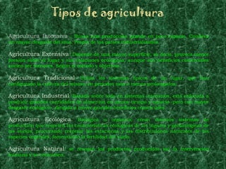 Tipos de agricultura
Agricultura Intensiva : Busca una producción grande en poco espacio. Conlleva
un mayor desgaste del sitio. Propia de los países industrializados.

Agricultura Extensiva: Depende de una mayor superficie, es decir, provoca menor
presión sobre el lugar y sus relaciones ecológicas, aunque sus beneficios comerciales
suelen ser menores. Según el método y objetivos.

Agricultura Tradicional: Utiliza los sistemas típicos de un lugar, que han
configurado la cultura del mismo, en periodos más o menos prolongados.

Agricultura Industrial: Basada sobre todo en sistemas intensivos, está enfocada a
producir grandes cantidades de alimentos en menos tiempo y espacio -pero con mayor
desgaste ecológico-, dirigida a mover grandes beneficios comerciales.

Agricultura Ecológica. Biológica u orgánica: crean diversos sistemas de
producción que respeten las características ecológicas de los lugares y geobiológicas de
los suelos, procurando respetar las estaciones y las distribuciones naturales de las
especies vegetales, fomentando la fertilidad del suelo.

Agricultura Natural: se recogen los productos producidos sin la intervención
humana y se consumen.
 