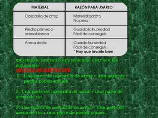 mezclas de sustratos que podemos usar son las
siguientes:
MEZCLA DE SUSTRATOS
1. Una parte de cascarilla de arroz + una parte de
    piedra pómez molida

2. Una parte de cascarilla de arroz + una parte de
arena de río

3. Dos partes de cascarilla de arroz + una parte de
arena de río + una parte de piedra pómez.
 
