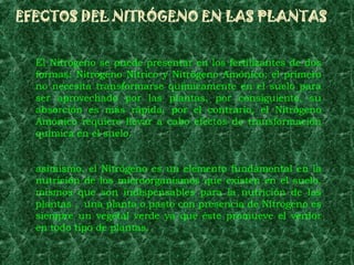 EFECTOS DEL NITRÓGENO EN LAS PLANTAS


  El Nitrógeno se puede presentar en los fertilizantes de dos
  formas: Nitrógeno Nítrico y Nitrógeno Amónico; el primero
  no necesita transformarse químicamente en el suelo para
  ser aprovechado por las plantas, por consiguiente, su
  absorción es más rápida, por el contrario, el Nitrógeno
  Amónico requiere llevar a cabo efectos de transformación
  química en el suelo.


  asimismo, el Nitrógeno es un elemento fundamental en la
  nutrición de los microorganismos que existen en el suelo,
  mismos que son indispensables para la nutrición de las
  plantas . una planta o pasto con presencia de Nitrógeno es
  siempre un vegetal verde ya que éste promueve el verdor
  en todo tipo de plantas.
 