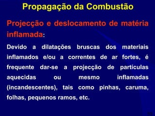 50
Projecção e deslocamento de matéria
inflamada:
Devido a dilatações bruscas dos materiais
inflamados e/ou a correntes de ar fortes, é
frequente dar-se a projecção de partículas
aquecidas ou mesmo inflamadas
(incandescentes), tais como pinhas, caruma,
folhas, pequenos ramos, etc.
Propagação da Combustão
 