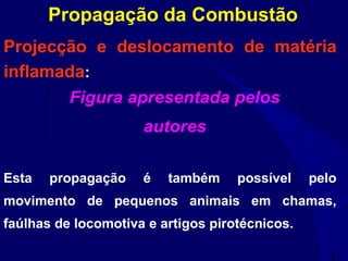 51
Projecção e deslocamento de matéria
inflamada:
Esta propagação é também possível pelo
movimento de pequenos animais em chamas,
faúlhas de locomotiva e artigos pirotécnicos.
Propagação da Combustão
Figura apresentada pelos
autores
 