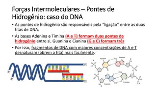 Forças Intermoleculares – Pontes de
Hidrogênio: caso do DNA
• As pontes de hidrogênio são responsáveis pela “ligação” entre as duas
fitas de DNA.
• As bases Adenina e Timina (A e T) formam duas pontes de
hidrogênio entre si, Guanina e Cianina (G e C) formam três
• Por isso, fragmentos de DNA com maiores concentrações de A e T
desnaturam (abrem a fita) mais facilmente.
 