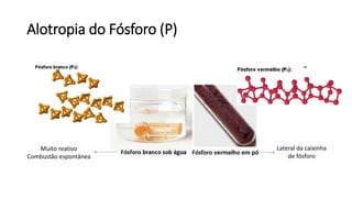 Alotropia do Fósforo (P)
Muito reativo
Combustão espontânea
Lateral da caixinha
de fósforo
 