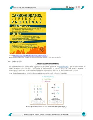 288
4.2.1 Carbohidratos.
Fuente https://blog.unitips.mx/hs-fs/hubfs/Carbohidratos,-li%CC%81pidos-y
protei%CC%81nas.png?width=600&name=Carbohidratos,-li%CC%81pidos-y-protei%CC%81nas.png
Composición de los carbohidratos.
Los carbohidratos son compuestos orgánicos que forman parte de las biomoléculas y que se encuentran en
algunos alimentos que debemos consumir por su valor nutritivo, ya que nos proporcionan la energía necesaria o
calorías para desarrollar las actividades cotidianas. Son polialcoholes con un grupo aldehído o cetona.
En el siguiente ejemplo se muestran los componentes de dos carbohidratos, obsérvalo:
Fuente: https://portalacademico.cch.unam.mx/sites/default/files/q2u2oa16p02.jpg
 