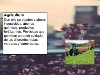 Agricultura:
Con ello se pueden elaborar
insecticidas, abonos
químicos, productos
fertilizantes. Pesticidas que
permitan un buen cuidado
de las diferentes frutas
verduras y sembradíos.
 