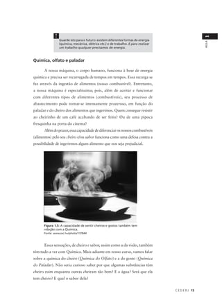 !




                                                                                                      1
                 Guarde isto para o futuro: existem diferentes formas de energia




                                                                                                      AULA
                 (química, mecânica, elétrica etc.) e de trabalho. E para realizar
                 um trabalho qualquer precisamos de energia.



Química, olfato e paladar

      A nossa máquina, o corpo humano, funciona à base de energia
química e precisa ser recarregada de tempos em tempos. Essa recarga se
faz através da ingestão de alimentos (nosso combustível). Entretanto,
a nossa máquina é especialíssima; pois, além de aceitar e funcionar
com diferentes tipos de alimentos (combustíveis), seu processo de
abastecimento pode tornar-se imensamente prazeroso, em função do
paladar e do cheiro dos alimentos que ingerimos. Quem consegue resistir
ao cheirinho de um café acabando de ser feito? Ou de uma pipoca
fresquinha na porta do cinema?
      Além do prazer, essa capacidade de diferenciar os nossos combustíveis
(alimentos) pelo seu cheiro e/ou sabor funciona como uma defesa contra a
possibilidade de ingerirmos algum alimento que nos seja prejudicial.




      Figura 1.5: A capacidade de sentir cheiros e gostos também tem
      relação com a Química.
      Fonte: www.sxc.hu/photo/137844



      Essas sensações, de cheiro e sabor, assim como a da visão, também
têm tudo a ver com Química. Mais adiante em nosso curso, vamos falar
sobre a química do cheiro (Química do Olfato) e a do gosto (Química
do Paladar). Não seria curioso saber por que algumas substâncias têm
cheiro ruim enquanto outras cheiram tão bem? E a água? Será que ela
tem cheiro? E qual o sabor dela?


                                                                                     C E D E R J 15
 