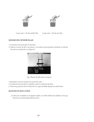 120
5 g de suelo + 50 mL de KCl 1M 5 g de suelo + 50 mL de CaCl2
MANEJO DEL SENSOR DE pH:
1. Conectar el sensor de pH a la interfase.
2. Sujetar el sensor de pH a una pinza, a una altura tal que permita introducir la solución
de suelo en el electrodo (ver figura 2).
Fig. 2 Sensor de pH sujeto al soporte.
3. Introducir el sensor de pH en la mezcla de suelo.
4. Cuando la lectura de pH se estabilice, iniciar la colección de datos.
6. Tener muy presente lavar el electrodo con agua destilada después de cada lectura.
REGISTRO DE RESULTADOS
a) Coloca los resultados en la siguiente tabla: no olvides indicar las unidades en las que
obtuviste la conductividad eléctrica (CE).
 