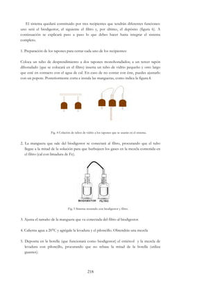 218
El sistema quedará constituido por tres recipientes que tendrán diferentes funciones:
uno será el biodigestor, el siguiente el filtro y, por último, el depósito (figura 6). A
continuación se explicará paso a paso lo que debes hacer hasta integrar el sistema
completo.
1. Preparación de los tapones para cerrar cada uno de los recipientes:
Coloca un tubo de desprendimiento a dos tapones monohoradados; a un tercer tapón
dihoradado (que se colocará en el filtro) inserta un tubo de vidrio pequeño y otro largo
que esté en contacto con el agua de cal. En caso de no contar con éste, puedes ajustarlo
con un popote. Posteriormente corta e instala las mangueras, como indica la figura.4.
Fig. 4 Colación de tubos de vidrio a los tapones que se usarán en el sistema.
2. La manguera que sale del biodigestor se conectará al filtro, procurando que el tubo
llegue a la mitad de la solución para que burbujeen los gases en la mezcla contenida en
el filtro (cal con limadura de Fe).
Fig. 5 Sistema montado con biodigestor y filtro.
3. Ajusta el tamaño de la manguera que va conectada del filtro al biodigestor.
4. Calienta agua a 20°C y agrégale la levadura y el piloncillo. Obtendrás una mezcla
5. Deposita en la botella (que funcionará como biodigestor) el estiércol y la mezcla de
levadura con piloncillo, procurando que no rebase la mitad de la botella (utiliza
guantes).
 