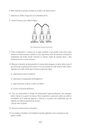 219
6. Mide el pH de la mezcla y anótalo en la tabla 1 de observaciones.
7. Adiciona en el filtro el agua de cal y la limadura de Fe.
8. Arma el sistema como indica la figura.
Fig. 6 Sistema de obtención de metano
9. Ubica el dispositivo o sistema en un lugar ventilado y que puedas tener acceso para
realizar tus observaciones; también es muy importante tratar de mantener constante la
temperatura del medio donde colocarás tu sistema. Cuida de registrar datos y deja
fermentar de tres a cuatro semanas.
10. Durante el periodo de fermentación el sistema debe purgarse, es decir, debes sacar el
gas (CO2) que se genera, por lo menos 1 vez por semana. En cada ocasión mide el pH y
regítralo en tu tabla. Cuida que el sistema no presente fugas.
a) ¿Qué proceso sufre el estiércol?
b) ¿Qué gases se desprenden del biodigestor?
c) ¿Qué reacciones se llevan a cabo en el filtro?
d) ¿Cuál es la función del hierro?
11. Una vez transcurrido el tiempo de fermentación (aproximadamente tres semanas),
debes valorar si se generó el metano. Para comprobar su presencia utiliza un cerillo o
encendedor en la salida del depósito y observa si se genera una combustión, que, de
haberla, nos indica la presencia de metano.
¿De qué color es la flama?
12. Anota tus observaciones en la tabla 1.
13. Los residuos obtenidos en el biodigestor puedes aplicarlos como composta en una
planta o jardín.
 