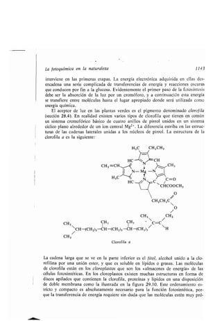 Quimica Organica  2ed  Allinger Cava